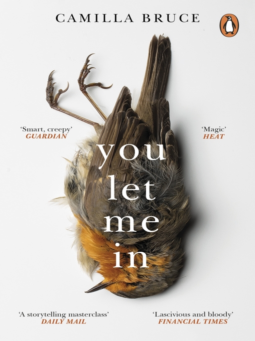 Title details for You Let Me In by Camilla Bruce - Available